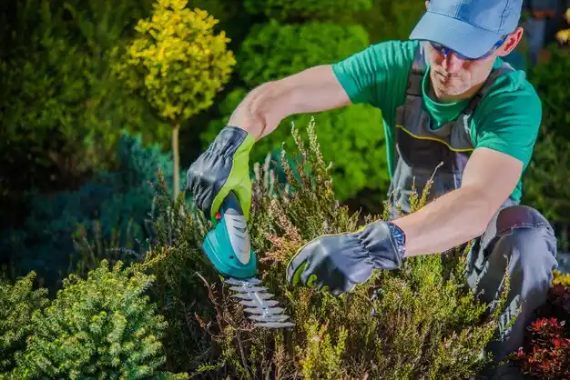 landscaping services Belding